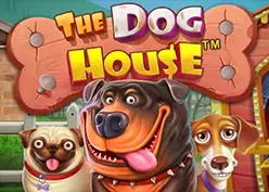 The Dog House от Pragmatic Play: мультяшный слот на деньги или бесплатно в демо